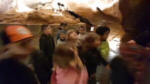 20250529_090137 (1)