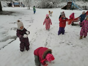 IMG_20210107_105643