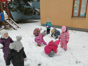 IMG_20210107_105656