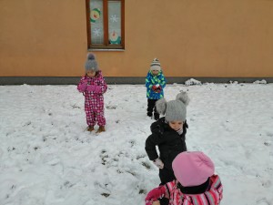 IMG_20210107_105741