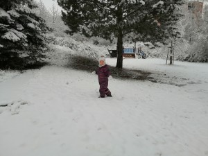 IMG_20210107_105803