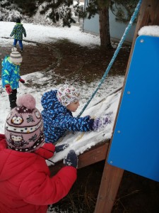 IMG_20210107_105912