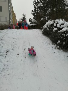 IMG_20210118_105237