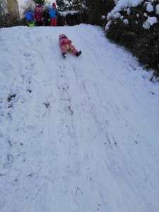 IMG_20210118_105930