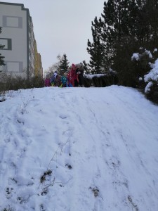 IMG_20210118_110028