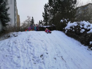 IMG_20210118_110109