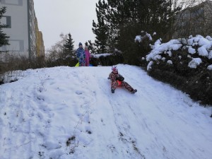 IMG_20210118_110251