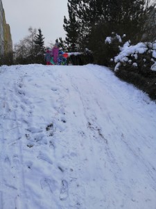 IMG_20210118_110311