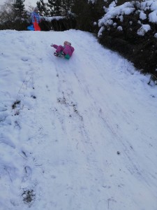 IMG_20210118_110338