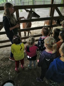 IMG_20210916_091208