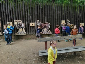 IMG_20210916_091815