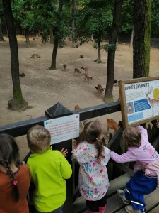 IMG_20210916_092012