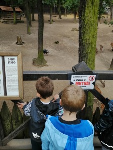 IMG_20210916_092024