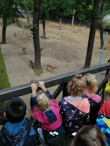 IMG_20210916_092032