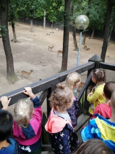 IMG_20210916_092102