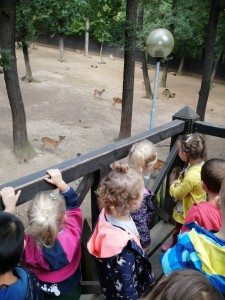 IMG_20210916_092102_1