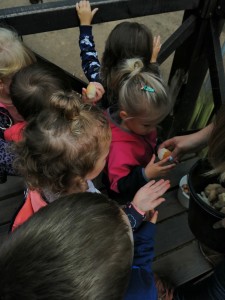 IMG_20210916_092328