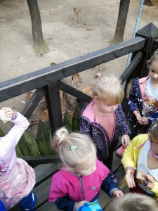 IMG_20210916_092347