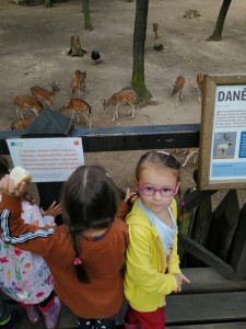 IMG_20210916_092407