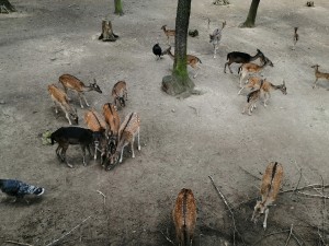IMG_20210916_092418