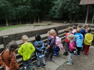 IMG_20210916_101354