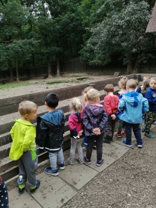 IMG_20210916_101417