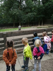 IMG_20210916_101508