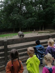 IMG_20210916_101525