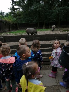 IMG_20210916_101540