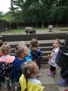 IMG_20210916_101543