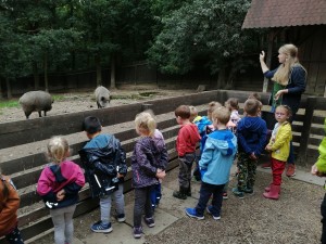 IMG_20210916_101557