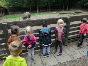 IMG_20210916_101654