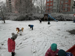 IMG_20220304_111934