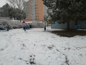 IMG_20220304_112056